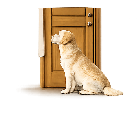 Lab à la porte